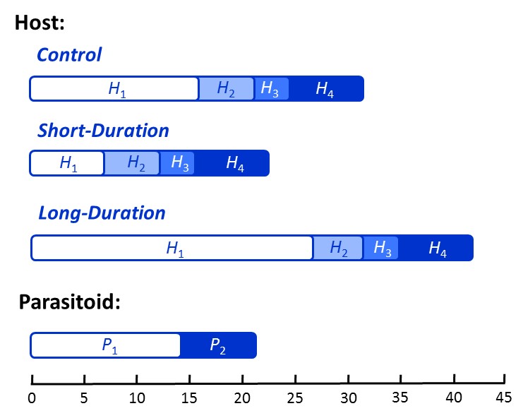 LDSD diagram